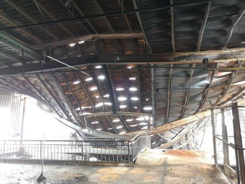 火灾后重建指南 电路修复、房屋重建与康复辅具支持